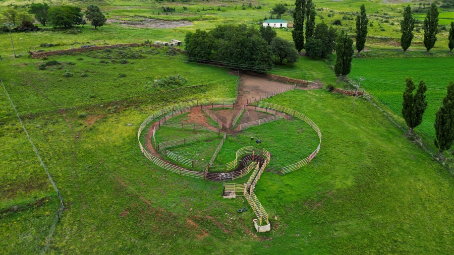 4 Bedroom Property for Sale in Lady Grey Eastern Cape